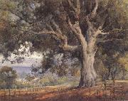 Oak Tree unknow artist